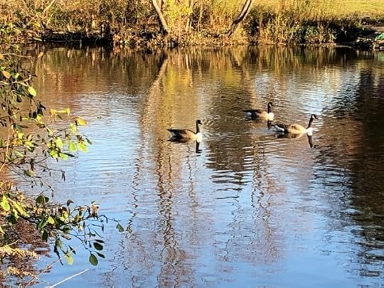 acceptance over tolerance