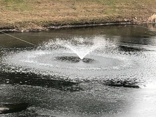 acceptance over tolerance