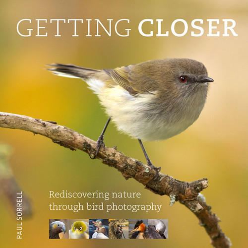 Getting Closer: Paul Sorrell’s Best Tips for Photographing Birds In Your Own Backyard