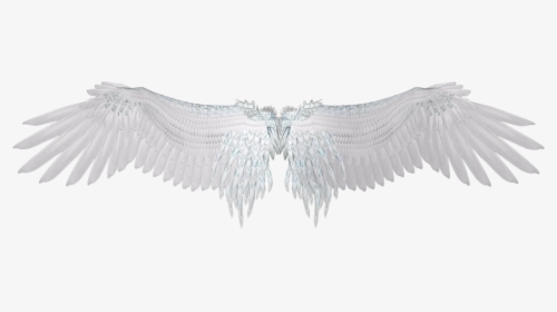 White Wings PNG Images, Transparent White Wings Image Download - PNGitem