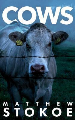 cows