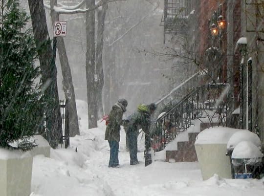 Blizzard New York City, 2016