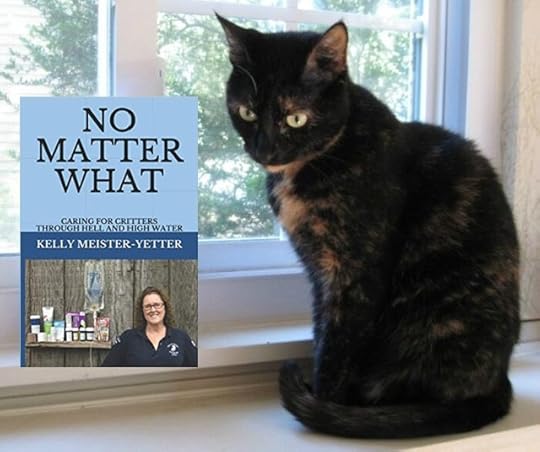 no-matter-what-kelly-meister-yetter