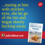 Nicholas Sparks tries his hand at Romantic Suspense