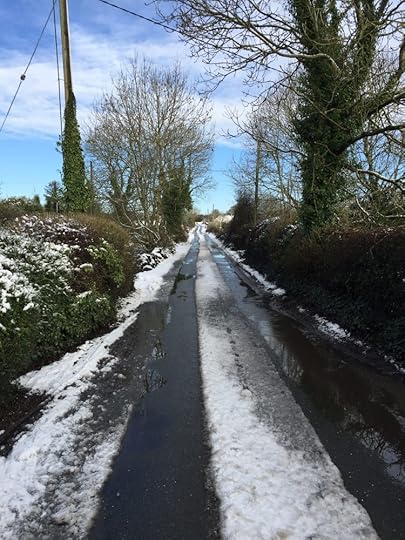 Barney Road with dusting of snow in French Hill
