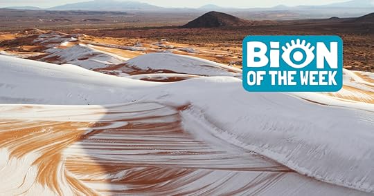 Sahara Snow Fall BION of the Week