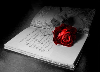 Rose-for-your-words-poetry-33064141-400-291