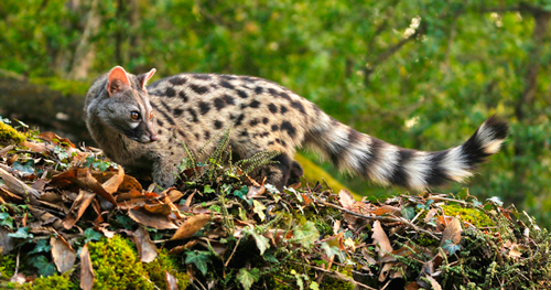 La imagen tiene un atributo ALT vacío; su nombre de archivo es 049d9ca4-bb9f-4734-b66f-37aa0f4d2643