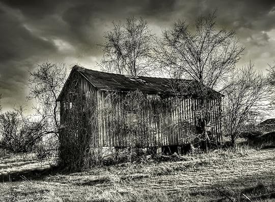 Photo Credit: Ken Williams