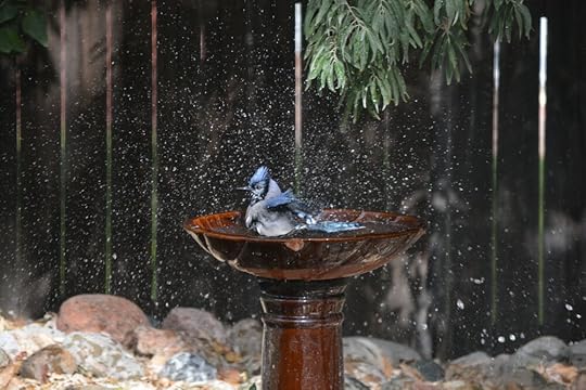 DSC_1107.JPG