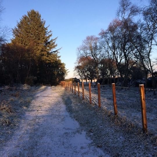 snowy path to a cover reveal