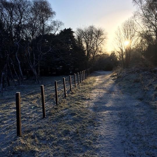 Snowy track to a cover reveal