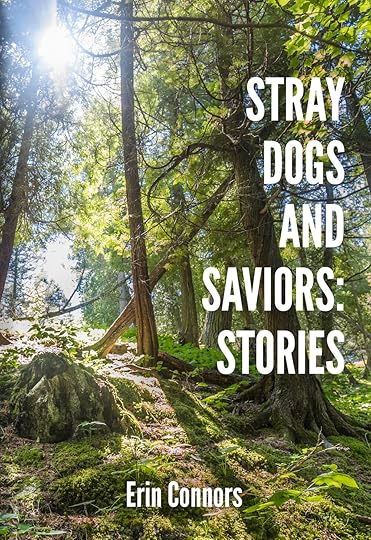 Stray Dogs and Saviors: Stories. By Erin Connors. Short Story Collection. Hill Press. 2020