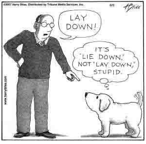 Friday Fun