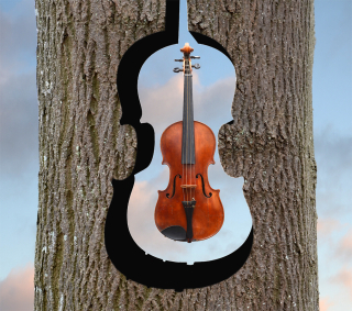 00 violin