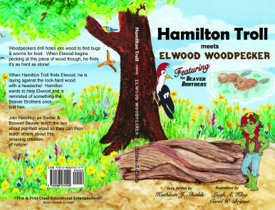 9780988274549-colorcase