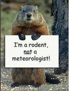 not a meteorologist