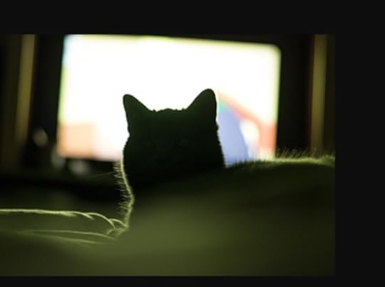 cat mentor movie