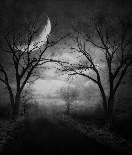 Black & white eerie moon. | Forest moon, Black and white portraits, Moonlight