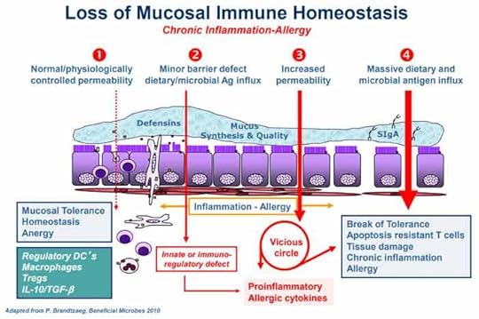 loss of mucosal immune homeostasis