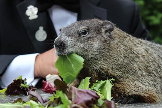 Phil Eating