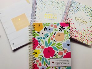 How to Work From Home and Get Things Done!