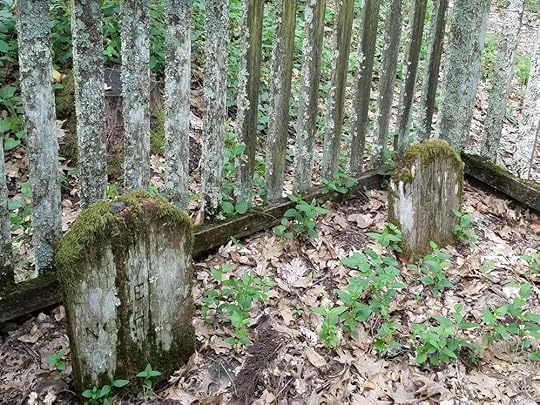 1870's graves of two Scottish pioneer children.
