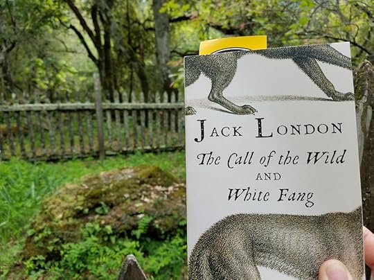 Reading Call of the Wild at Jack London's grave.