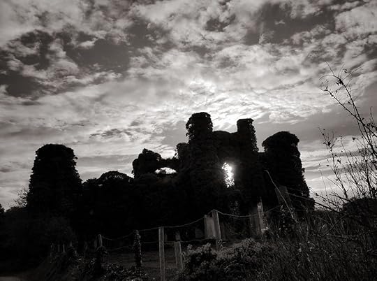 Moydrum Castle: The Unforgettable Fire