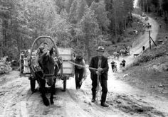 Finnish Karelian Refugees 1945