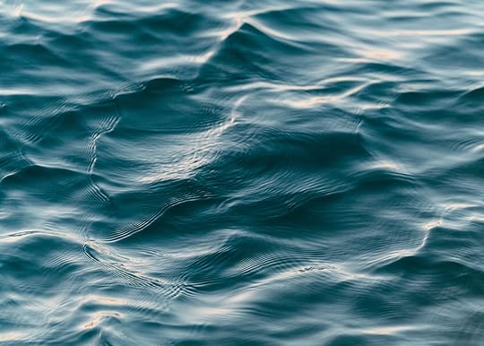 Waves in the ocean