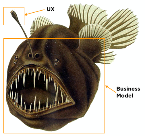 Angler fish labeled