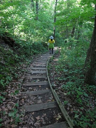 kettle-moraine-summit-trail