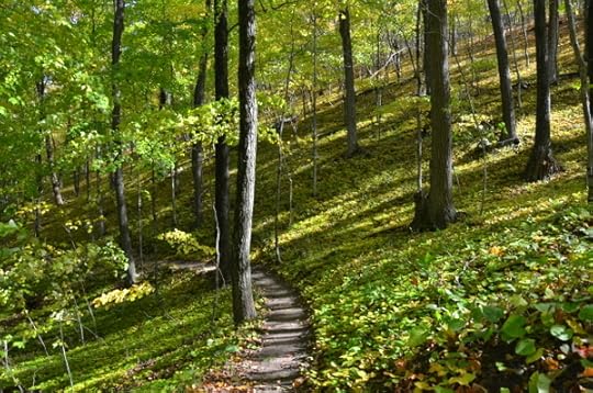 ice-age-trail-holy-hill