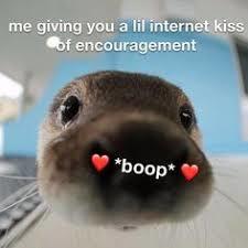Image result for cute wholesome memes
