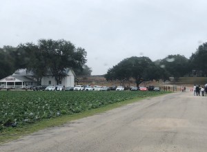 Oak Haven Farm