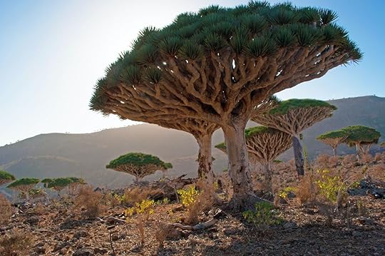 Blood trees
