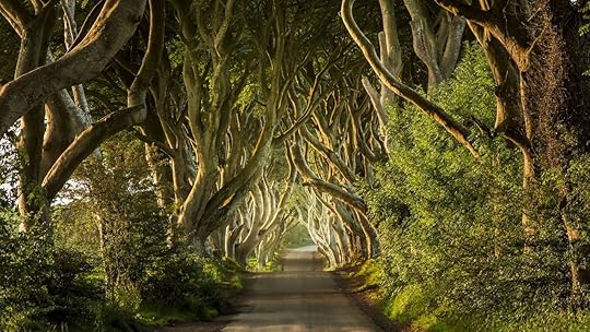 Dark Hedges in Ireland