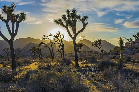 8 natural areas of Arizona you'll probably never heard of