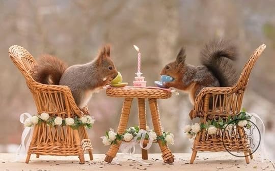squirrel-photos-geert-weggen-10.jpg