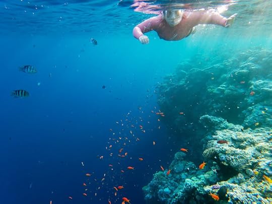 ...and then, we could snorkel! The Blue Hole, Egypt
