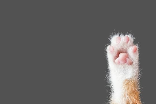 My fantasy story had a marmalade cat, so this image shows a marmalade cat's paw held up to show the jellybeans, against a gray background