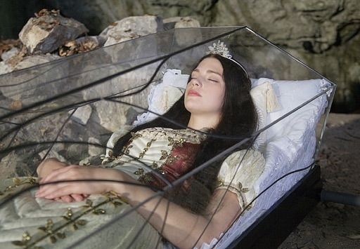 1c99cffe99166a58302ece80defc5b8c