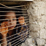 211-D7320-7-BEC-498-D-8-AA6-8579-BCEC2503