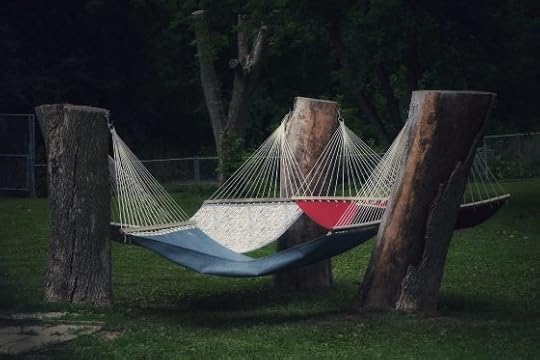 Image: three tree stumps in a triangle, supporting hammocks