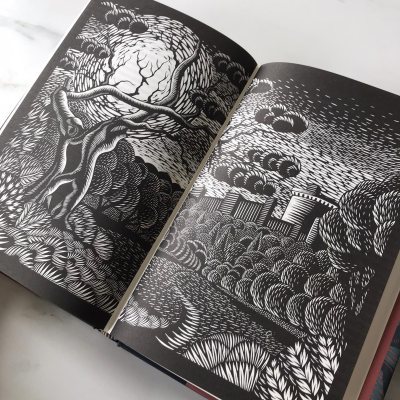 Image result for book of trespass