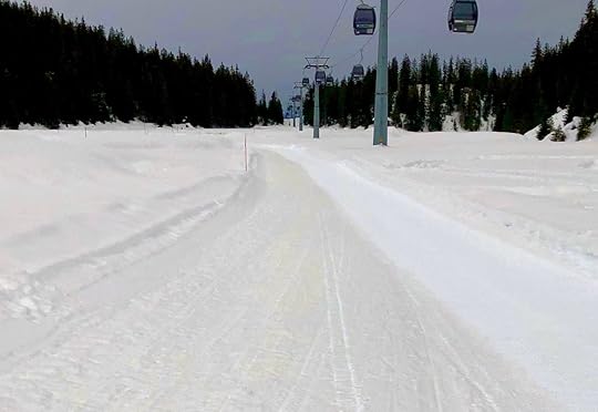 white track through sandy snow