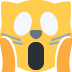 🙀