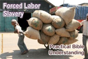 Forced labor, slavery. Practical Bible Understanding of these sensitive issues.