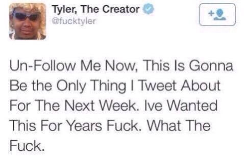 the tyler the creator unfollow me now this is gonna be the only thing i tweet about for the next week tweet meme